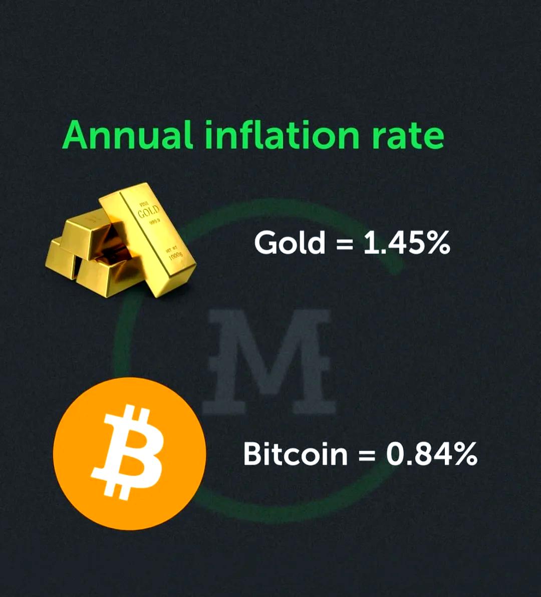 Coinbase上扬势惊人，一夜飙升3.44%，加密市场沸腾