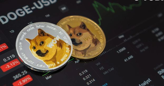 关于XRP创下年内新高，上扬幅高达SHIB%，还能追吗？的信息